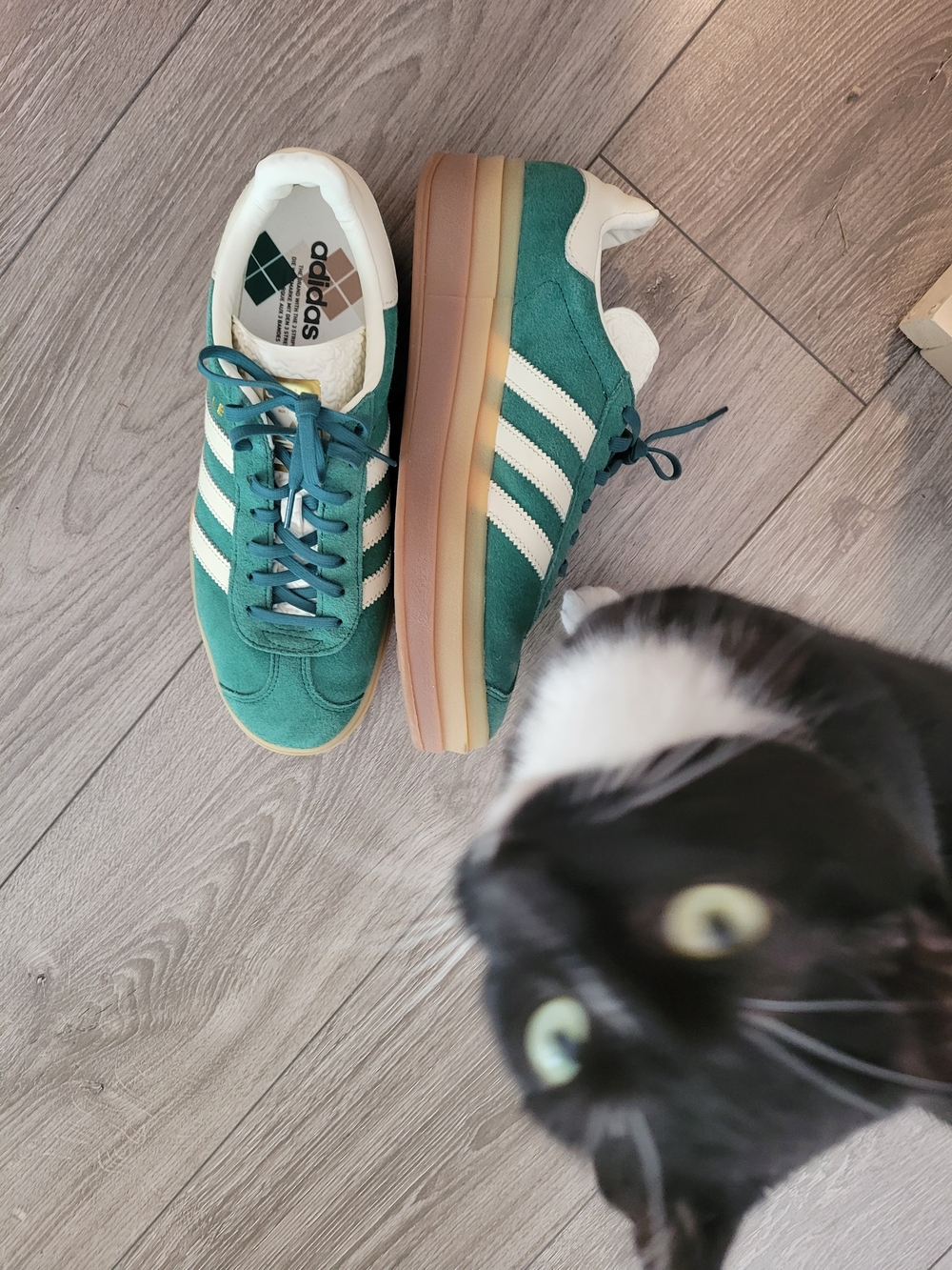 adidas Gazelle Platform Sneakers Green with Cream Stripes - Picture 5 of 5